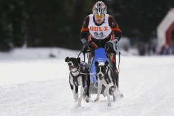 Lenzerheide 2013